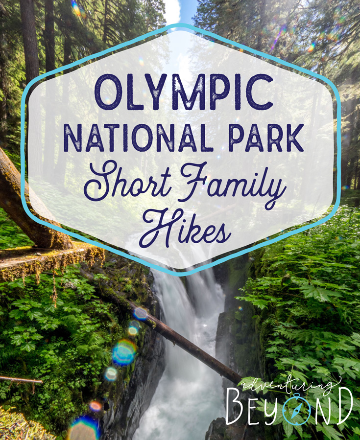 Short hikes in olympic national park clearance